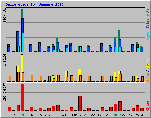 Daily usage for January 2025