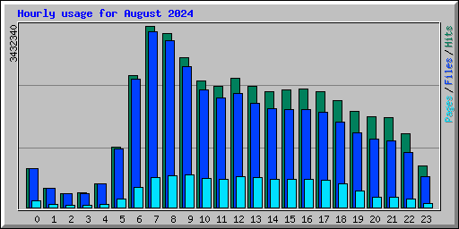 Hourly usage for August 2024