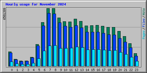Hourly usage for November 2024