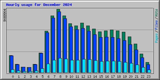 Hourly usage for December 2024