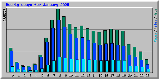 Hourly usage for January 2025