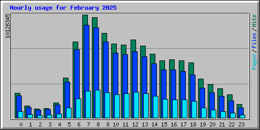 Hourly usage for February 2025