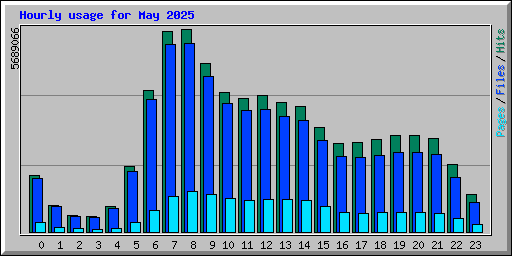 Hourly usage for May 2025