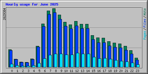 Hourly usage for June 2025
